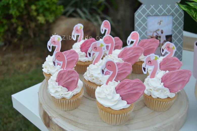تم تولد فلامینگو  | Flamingo
